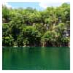 Cenotes Colorado: Cráteres de aguaselva 